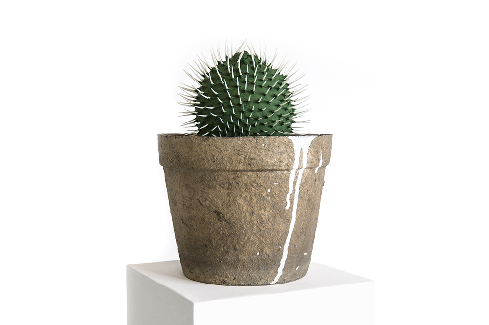 Cacti (15 cm)