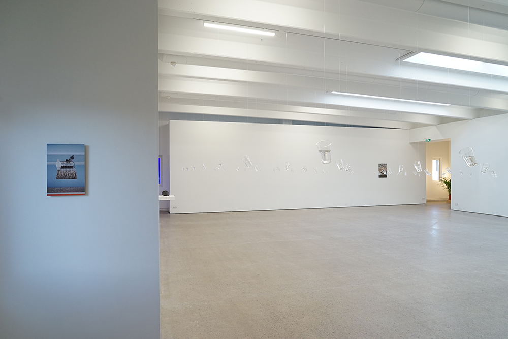 Awkward Introduction, installation view