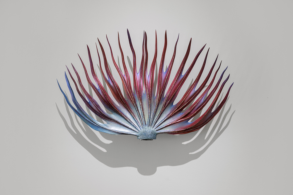 Betta Tail (CT_Metallic Blue)