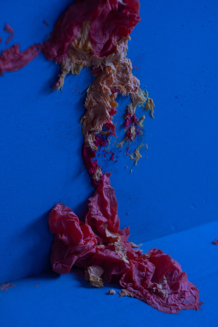 Scented Wonton (Rotting Wishes)