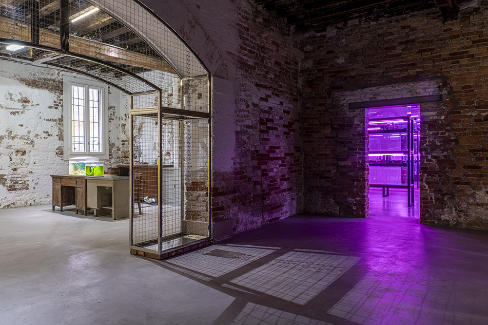 Trevor Yeung: Courtyard of Attachments, Hong Kong in Venice