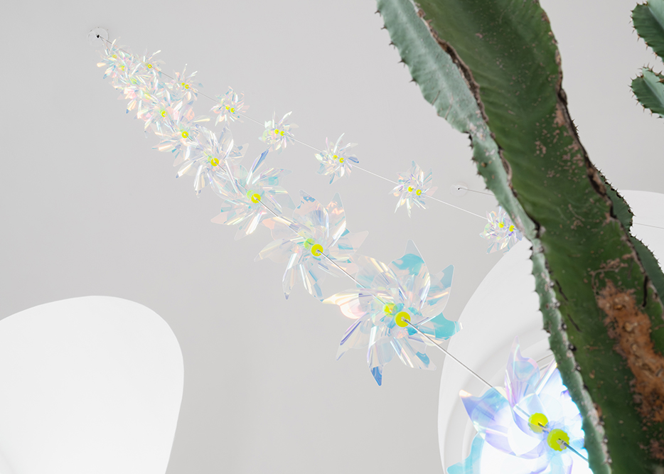 Mr. Hang-in-there, detail