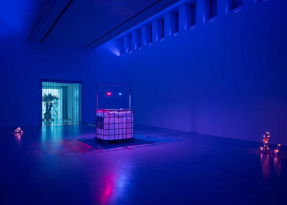 Soft Gaslighting (Blue Chamber) & Giver (Water Lilies)