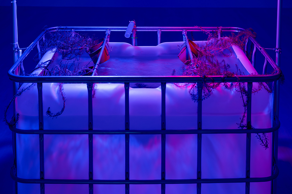 Giver (Water Lilies), detail