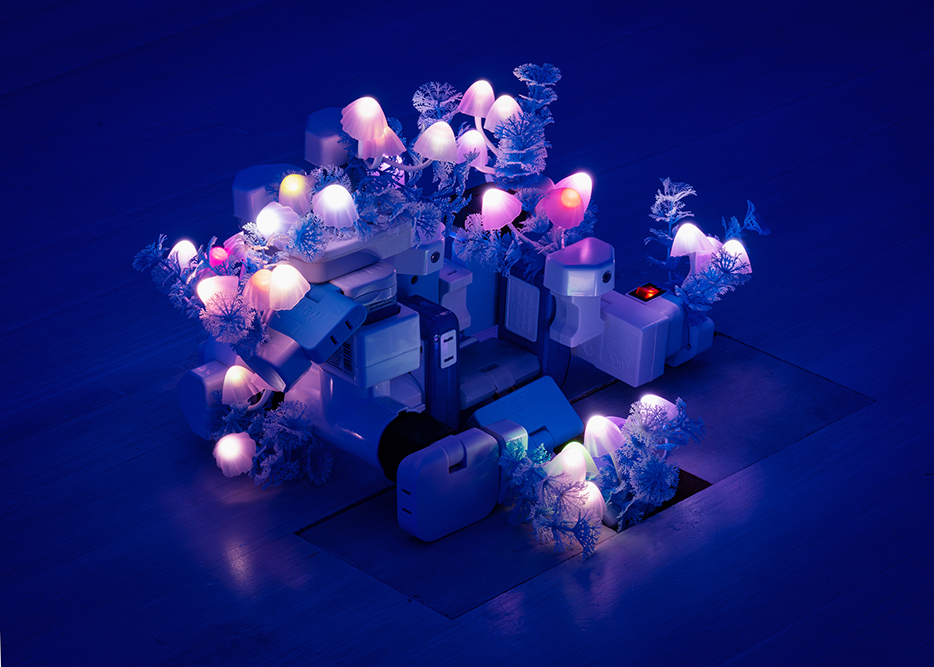 Night Mushroom Colon (Blue in Blue Chamber)