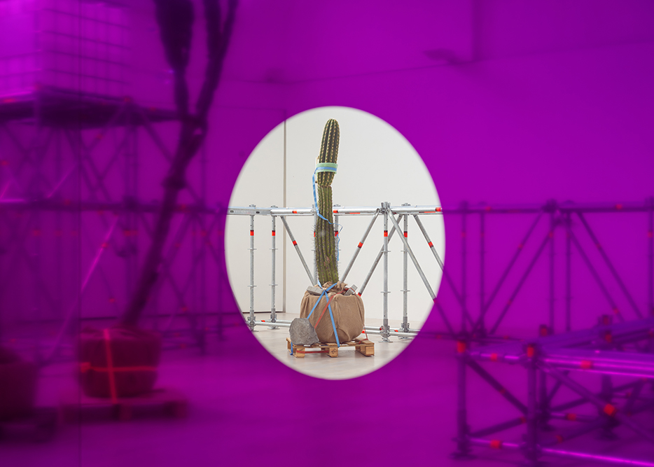 Underwater Haze, installation view