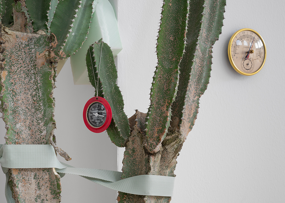 Judgemental Fact Givers