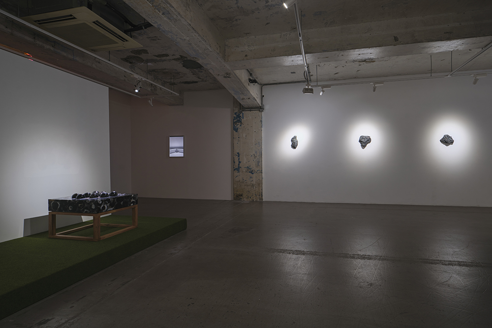 Trevor Yeung: swallowing rumination, gracefully, installation view