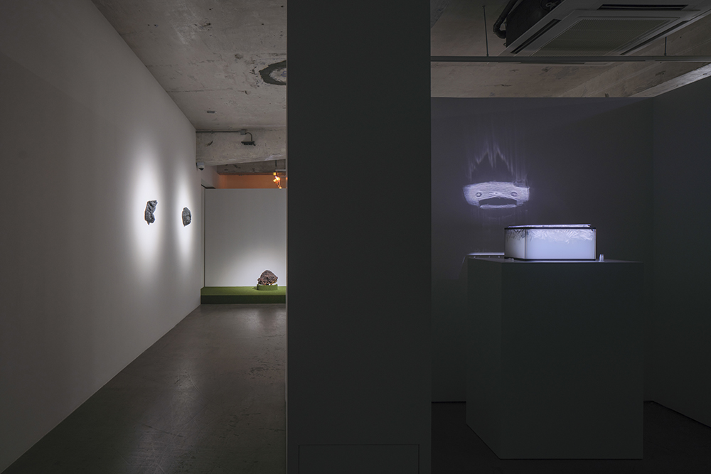 Trevor Yeung: swallowing rumination, gracefully, installation view