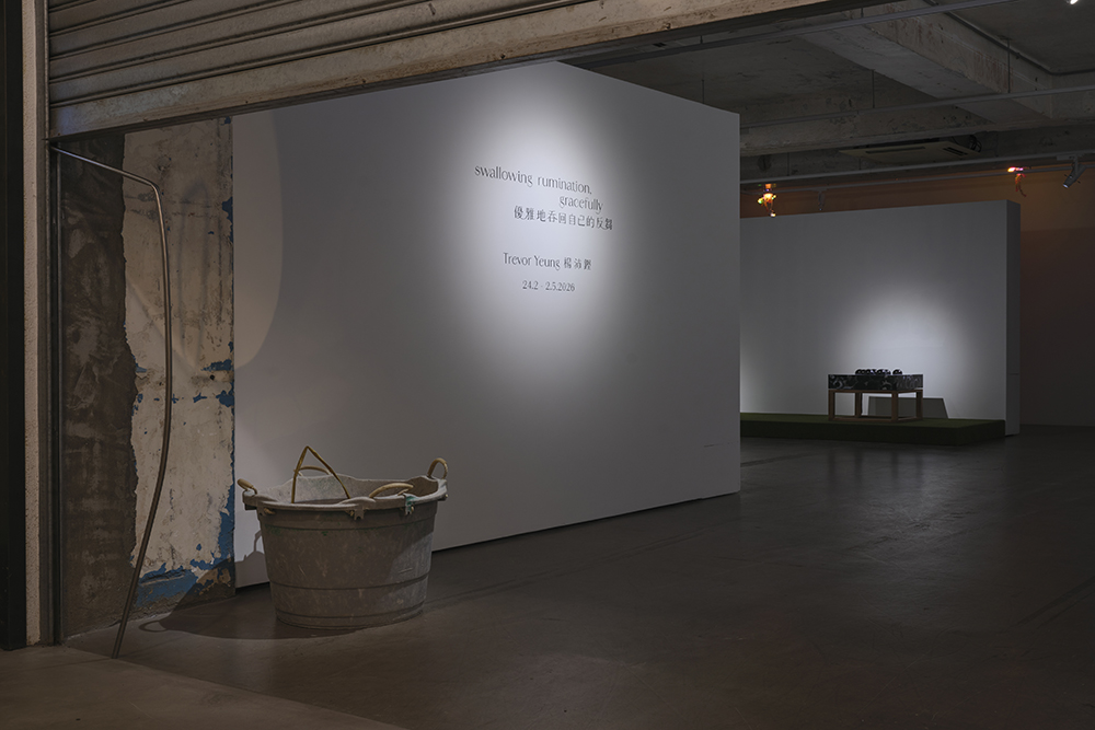 Trevor Yeung: swallowing rumination, gracefully, installation view