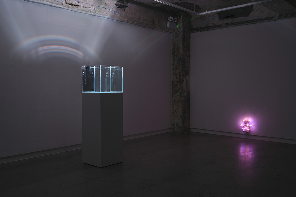 Trevor Yeung: swallowing rumination, gracefully, installation view