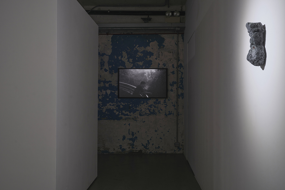 Trevor Yeung: swallowing rumination, gracefully, installation view
