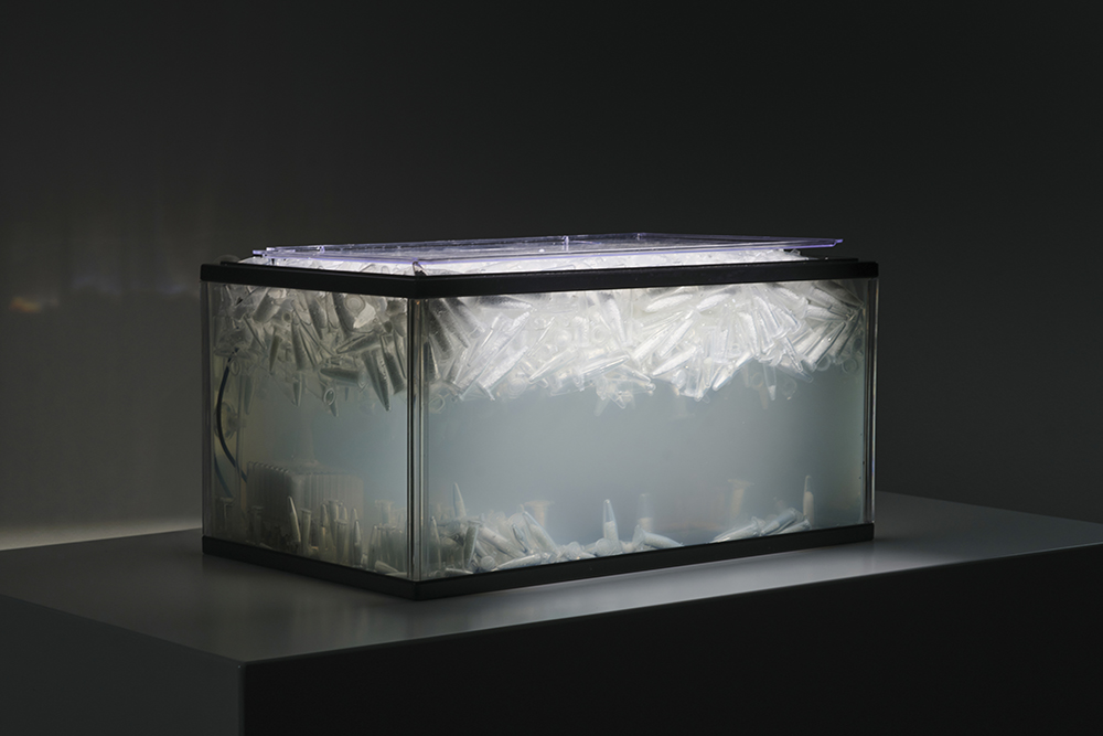 Soft and milky but don’t smell it (Fish tank)